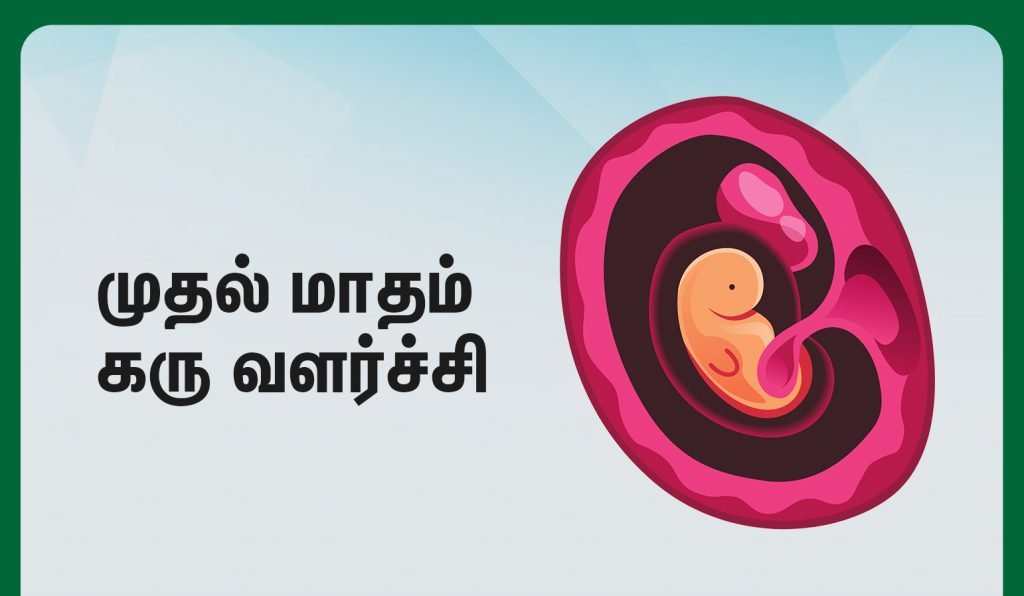 first month fetus development
