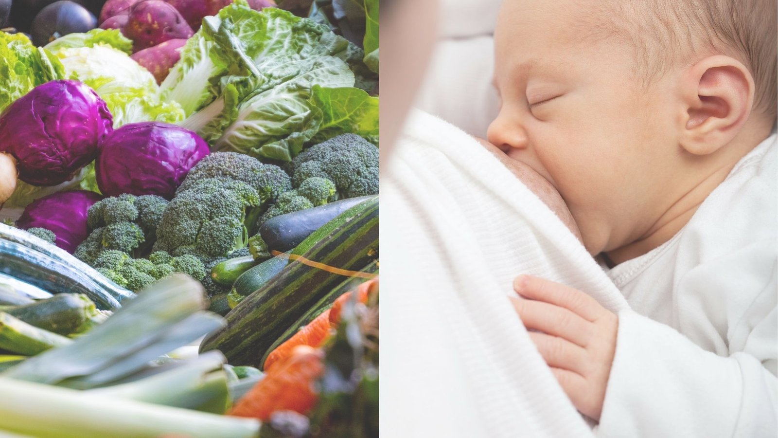 Foods to Increase Breast Milk
