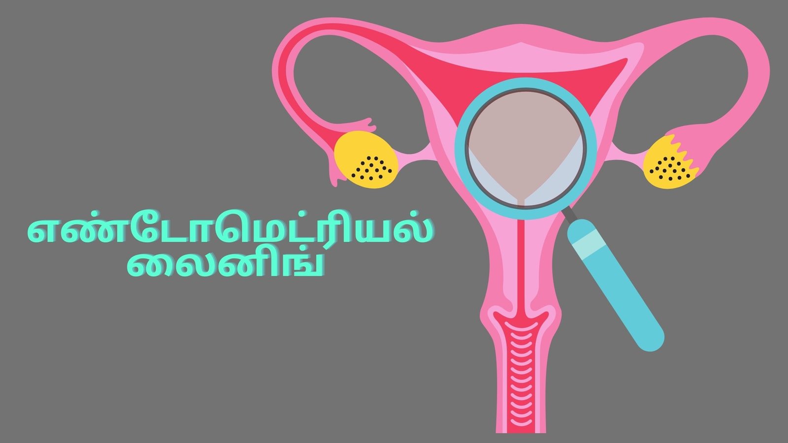 What is ET in follicular study