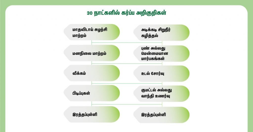 Early Pregnancy Symptoms: கர்ப்ப கால ஆரம்ப அறிகுறிகள் மற்றும் உணவு முறைகள்! 3 Home pregnancy tests