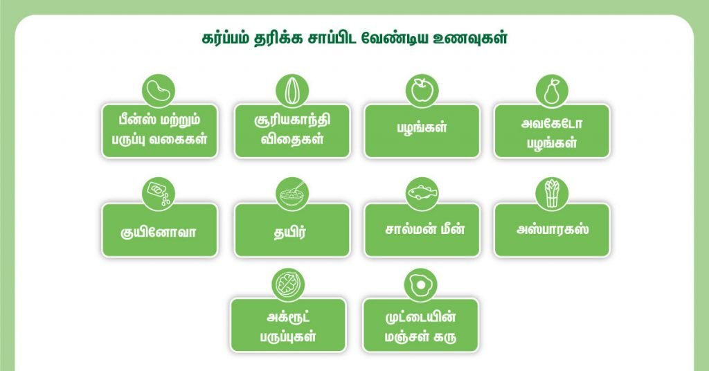 Early Pregnancy Symptoms: கர்ப்ப கால ஆரம்ப அறிகுறிகள் மற்றும் உணவு முறைகள்! 5 Nutrition Before Pregnancy