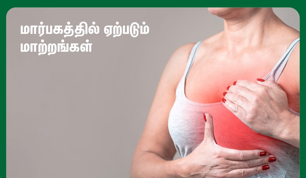 Breast Changes in Pregnancy