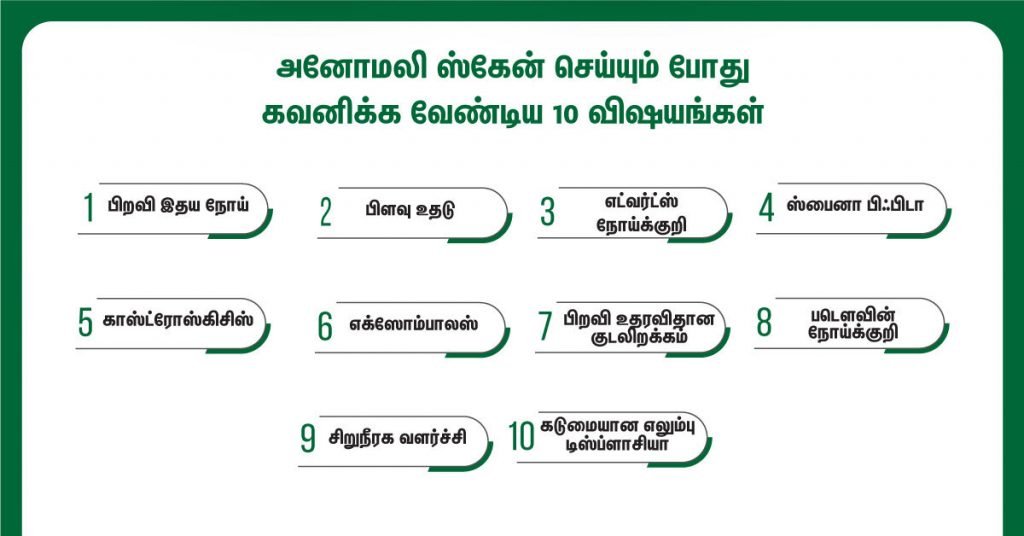 கர்ப்ப காலத்தில் அனோமலி ஸ்கேன் (Anomaly Scan During Pregnancy in Tamil) ஏன் அவசியம்? அதன் நன்மைகள் என்ன என்பதை பார்க்கலாம்? 4 Fetal Anomaly Scan 10 Tips