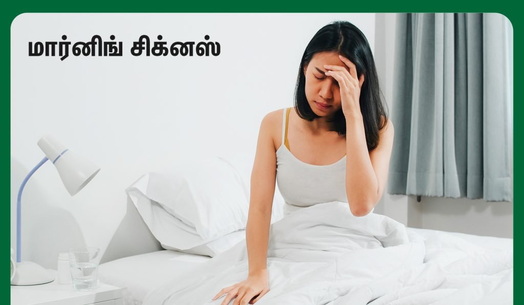 pregnancy morning sickness