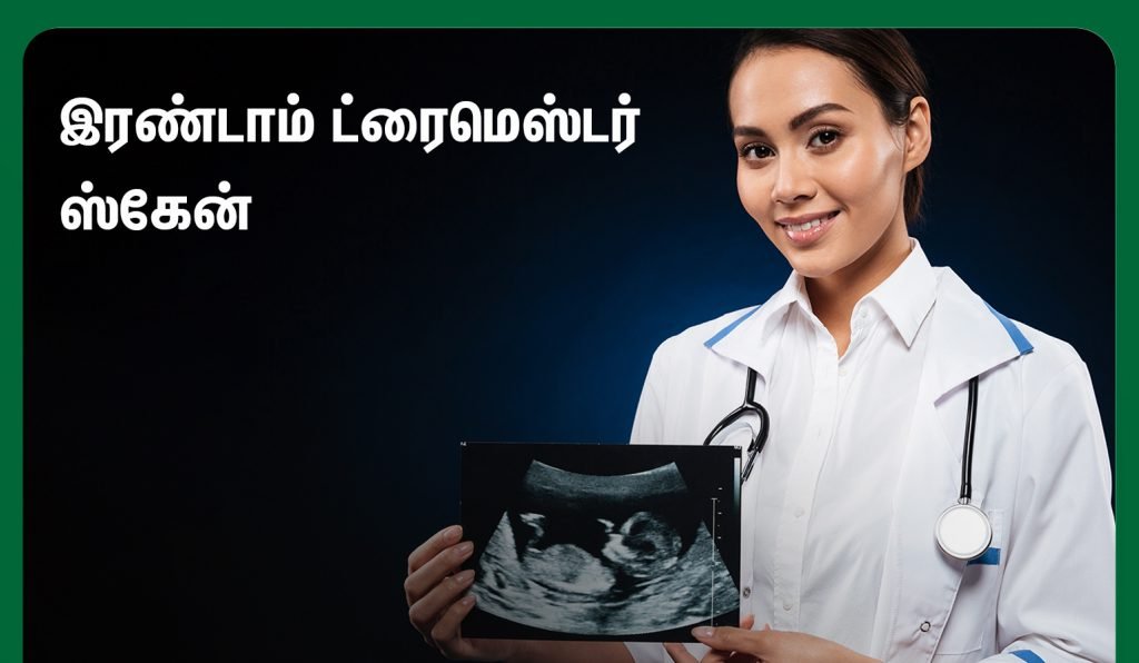 second trimester ultrasound scan