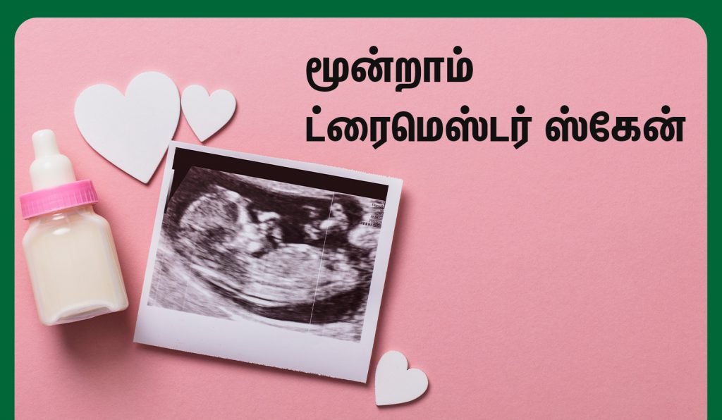 third trimester ultrasound scan