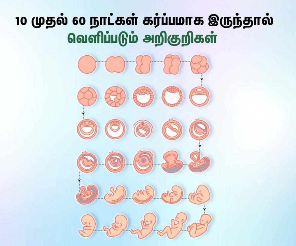 Pregnancy Symptoms In Tamil