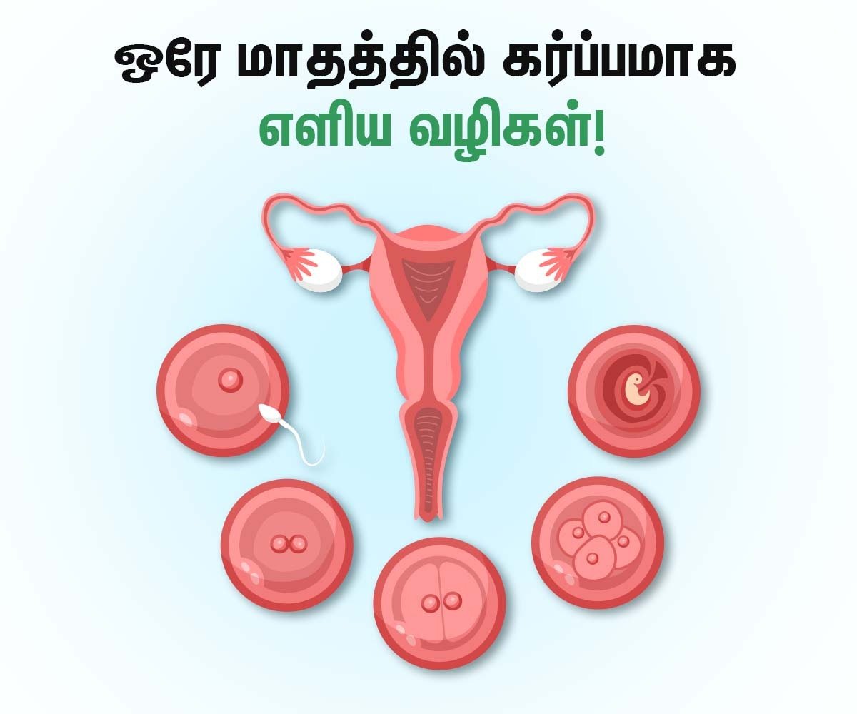 Get Pregnant Fast in Tamil