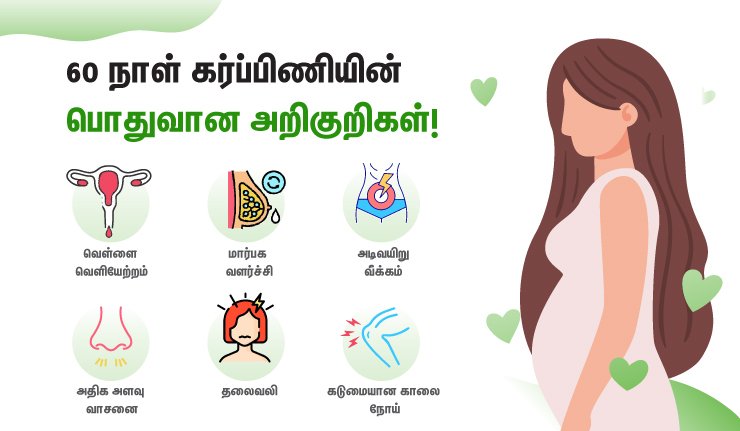 60 நாள் கர்ப்பம் (60 Days Pregnancy in Tamil)அறிகுறிகள் எவ்வாறு இருக்கும்? 3 60 days pregnancy symptoms in tamil