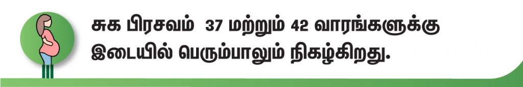வெவ்வேறு வகையான பிரசவ முறைகள் என்ன? (Different Childbirth in Tamil) 5 Normal Delivery