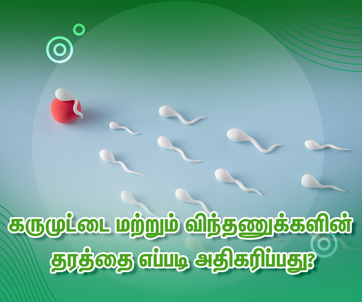 Improve Egg and Sperm Quality