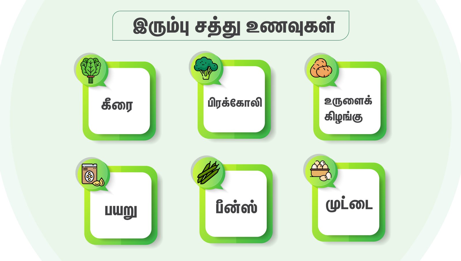 iron rich foods