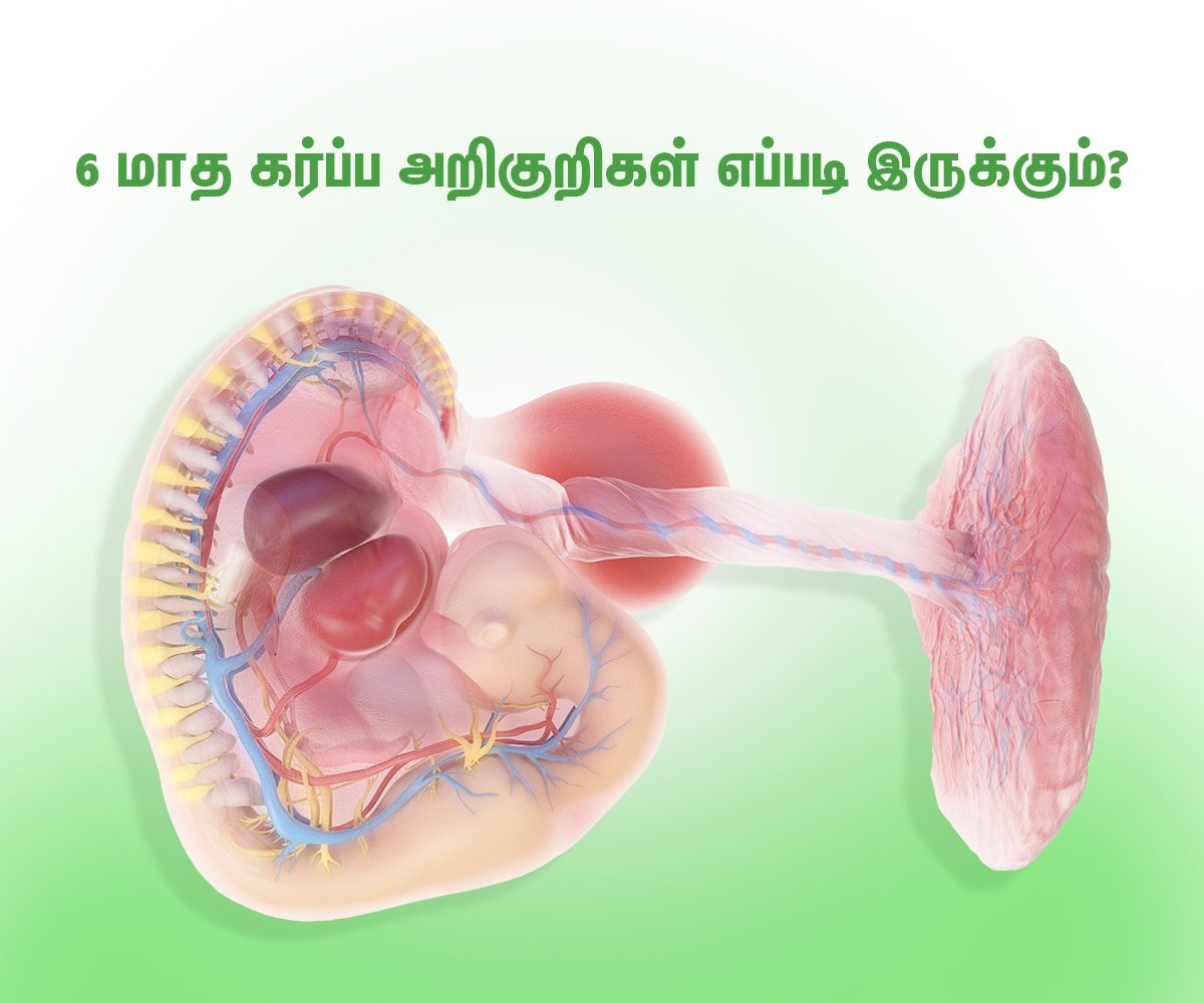 6 Month Pregnancy Symptoms