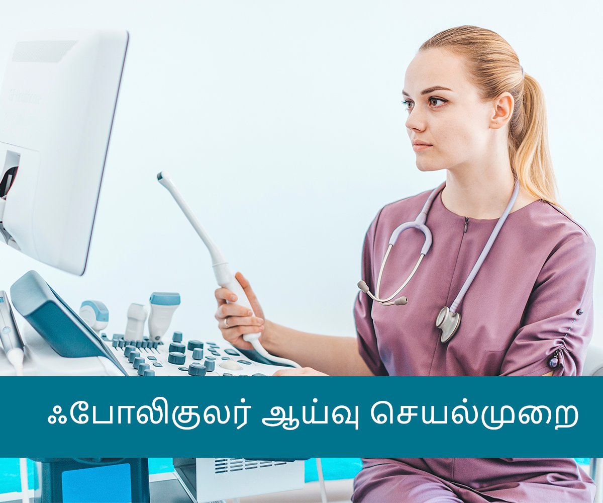 Follicular Study Procedure