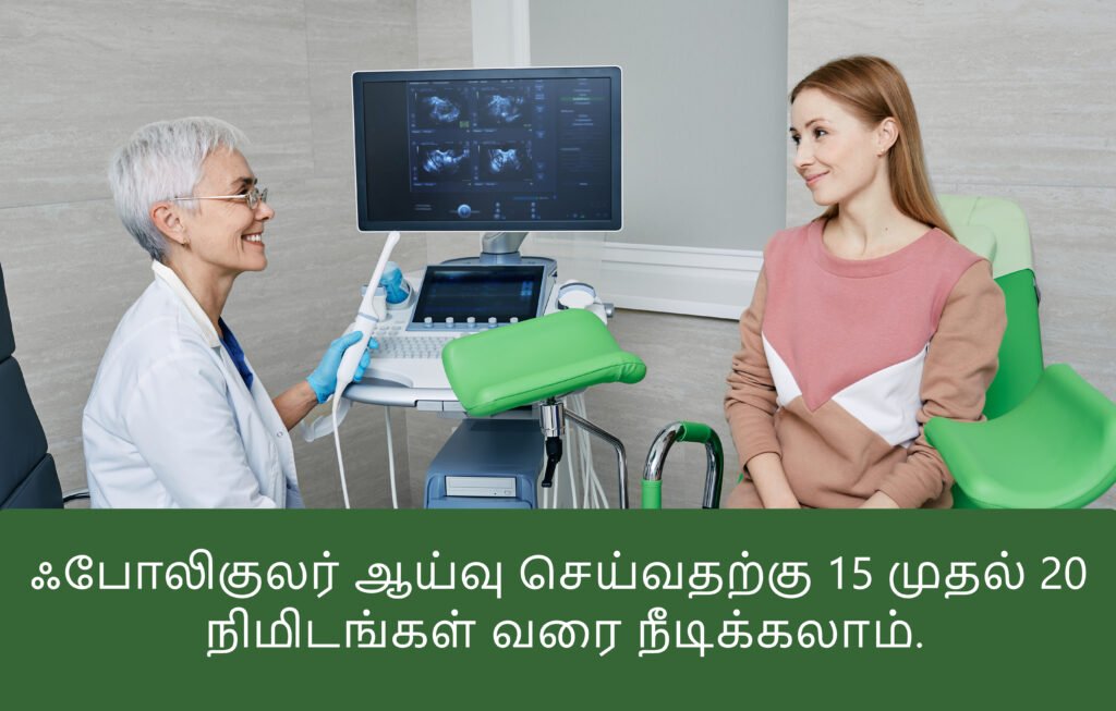 follicular study time