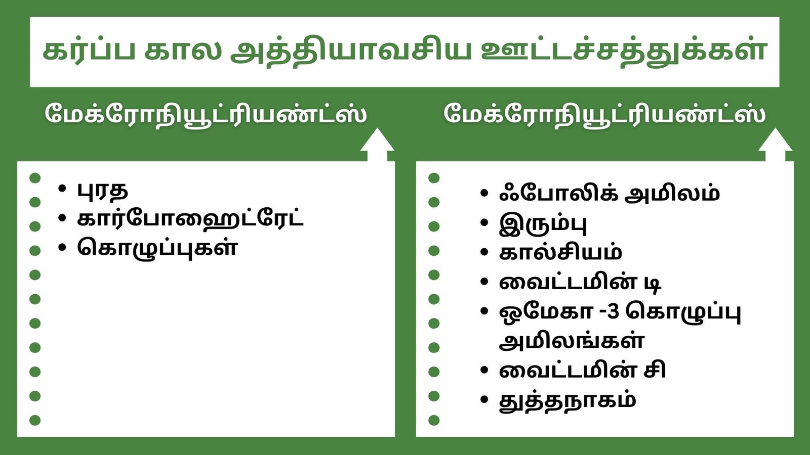10 கர்ப்ப கால அத்தியாவசிய ஊட்டச்சத்துக்கள் என்ன? - Essential Nutrients