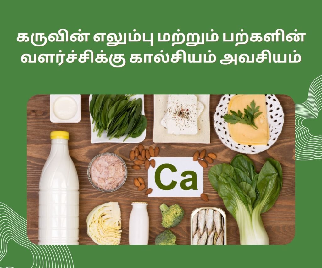 10 கர்ப்ப கால அத்தியாவசிய ஊட்டச்சத்துக்கள் என்ன? 5 Calcium