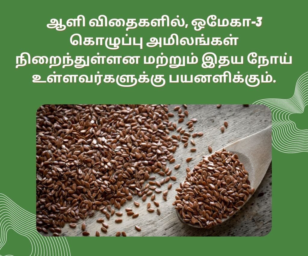 10 கர்ப்ப கால அத்தியாவசிய ஊட்டச்சத்துக்கள் என்ன? 6 Omega-3 fatty acids