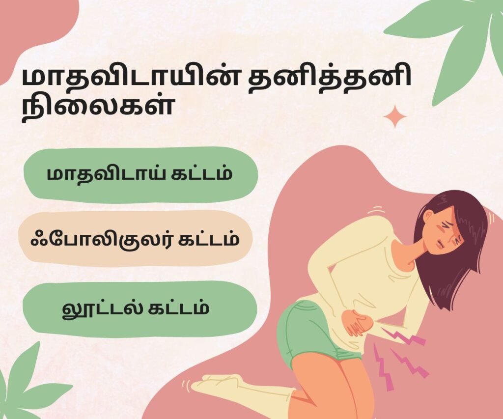 மாதவிடாய் காலத்தில் உடலுறவு கொண்டால் கர்ப்பம் தரிக்க முடியுமா? 3 Phases of menstrual cycle