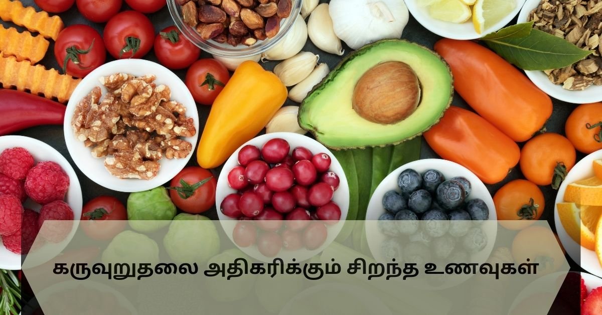 foods that increases fertility